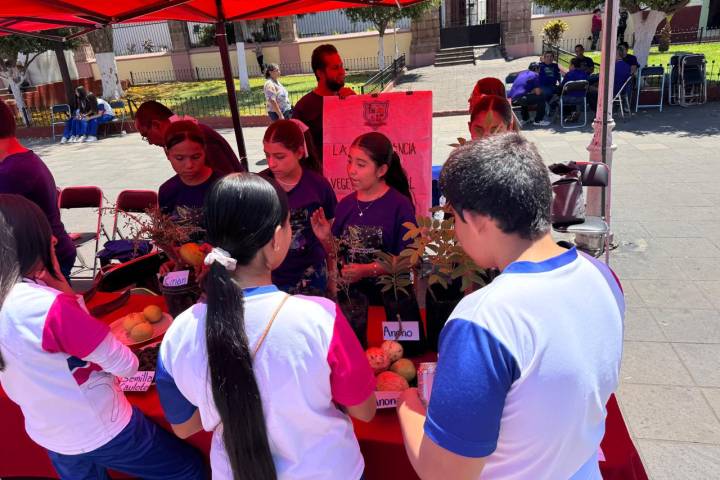 UNAM impulsa la cultura científica en Lombardía con evento matemático