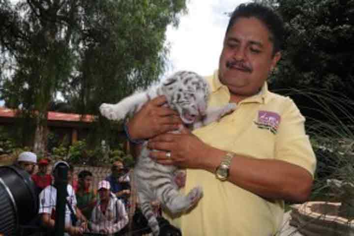 Fallece el director del Zoológico de Morelia